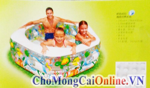 Bể ngũ giác đại dương 56493